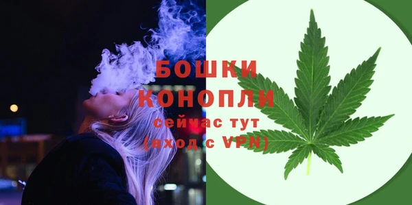 сатива Абаза