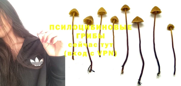 молекула духа Абдулино