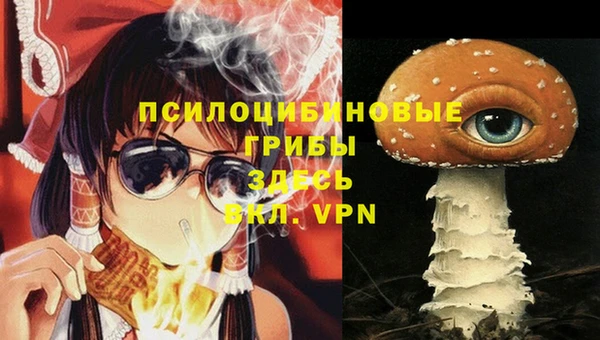 трава Абинск