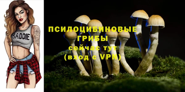 трава Абинск