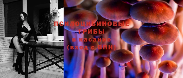 сатива Абаза