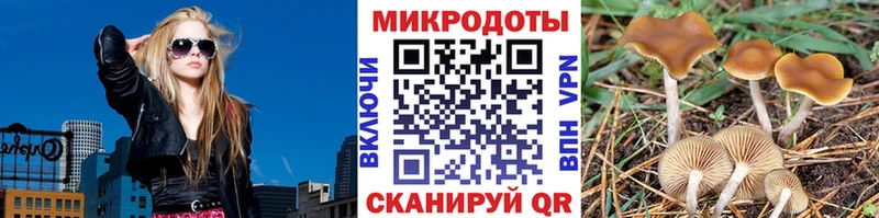 OMG ссылки купить наркотик Ярославль Галлюциногенные грибы Cubensis